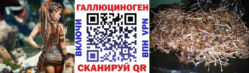 Галлюциногенные грибы MAGIC MUSHROOMS  Сосенский 